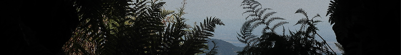 respite header